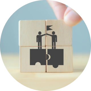 image for sample only