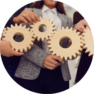 image for sample only